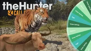 Random Wheel Week 1 | Water Buffalo | The Hunter Call of The Wild