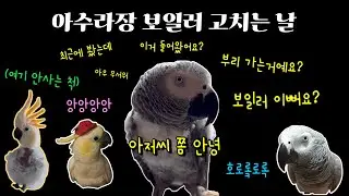 [녹취록] 아수라장 보일러 바꾸던 날 / 프로 참견러 김루이쒸