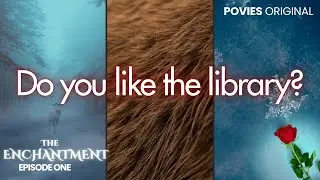 Do You Like the Library? | M4F | Audio RP | Audio Movie | Audio Drama | Beauty & the Beast Retelling