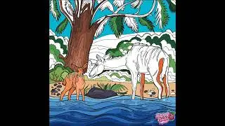 antelope at the watering hole, animals, striped deer 🦌 bongo