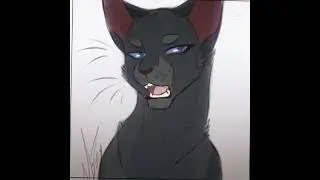 грачик #warriorcats #шипы13карт #colonelkkjϟ #cat #сваты6 #edit #яролика