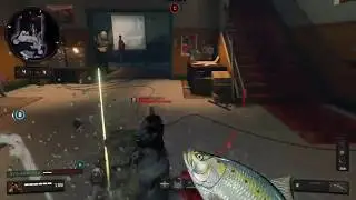 Secret fish melee in bo4