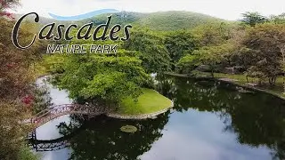 NEW NORMAL TRAVEL UPDATE I CASCADES NATURE PARK Cebu I Virtual Tour & Anti-COVID Protocols