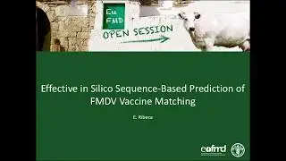 P. Ribeca - Effective in silico sequence-based prediction of FMDV vaccine matching