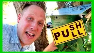 SNEAKY GADGET GEOCACHE! (Geocaching)