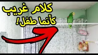 تركت الكاميرا تصور ميزو لوحده بالحمام!! ماراح تصدق كلامه😱