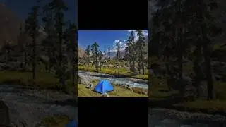 Top Wildlife Sanctuary India #wildlife #santuary #tourism #safari #gk #education #youtubeshort