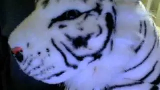 1114387minh's webcam video December 23, 2011 05:25 PM