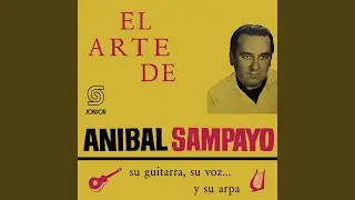 Mi Picazo Parejero