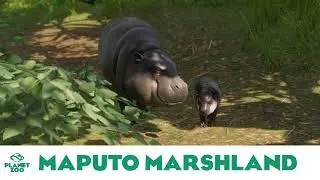 Africa: Maputo Marshland - Planet Zoo Music/Base Game