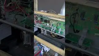 LA Backyard Fender Amp Repair