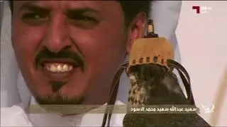 مهرجان مرمي 2018 بطولة هدد التحدي فرخ الشاهين 2-1-2018