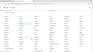 How to Add and Translate a New Language with Loco Translator