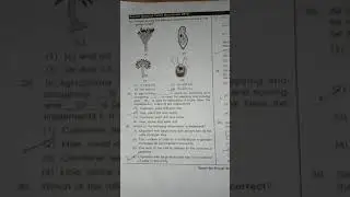 class 8 anthe question paper