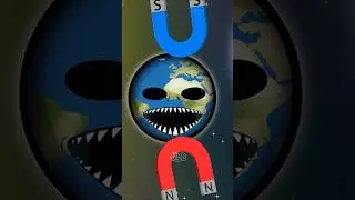 Magnetic Pole