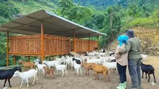 Finally finished: admiring the results of Phan & Chieu's goat shed construction project.