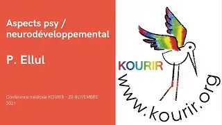 L'AJI et les aspects psy / neuro-développemental par P Ellul - KOURIR