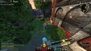 Neverwinter Mod 20 Paladin Healer Build VOS Gear
