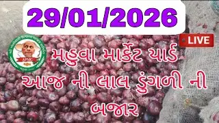 આજ ના ભાવ || મહુવા માર્કેટ યાર્ડ || ડુંગળી ની બજાર || mahuva dungali market || today onion Prices ||