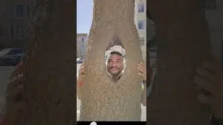 #treehumur Learn to laugh and have fun #botanyfun