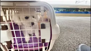 家族とはまたしばらく別れです