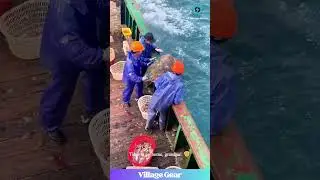 These Fishermen are Absolute LEGENDS🐢Giving This Old Sea Turtle a Spa Day & a Ride Home! #wholesome