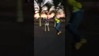|| Skating Practice ||#skating #skaterlife #roadskating #roadskate #tsquare88 @appleskates5381#new