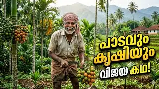 ഇപ്പപ്പാന്റെ പാടവും കൃഷിയും 🌾🌴💵