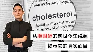 Ep 93 为什么我们盯着 LDL，却没能阻止心血管疾病的浪潮？｜胆固醇