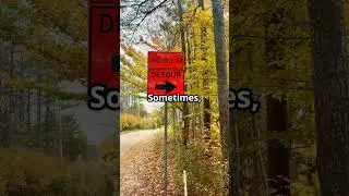 Trusting Life's Unexpected Detours