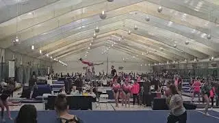 Bars - Meet Me in St Louis 2026