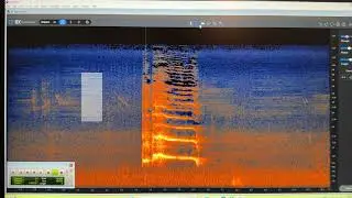 Pro Tools RX Spectral Editor Example
