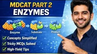 MDCAT Biology Part 2 – Enzymes | Concepts Simplified | MCQs 2026. | Rise & Read