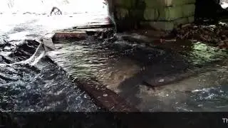 A new fish pass for Bradford Beck