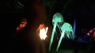 Taidin Halfmoon Music Festival Fire Performance