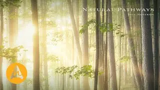 Balance of Nature (Natural Pathways) | Paul Mottram