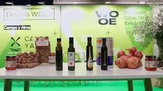 Desaf&iacute;o WOOE 2024 - 