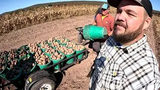 Can we keep up with this LATE SEASON HARVEST
