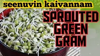 sprouted green gram
