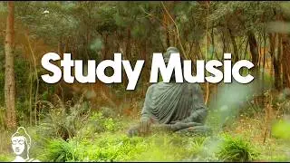 Study In The Forest 🌿 (Study Music) | Nature Meditation | Buddha's Lounge