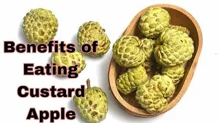 Benefits of Eating Custard Apple