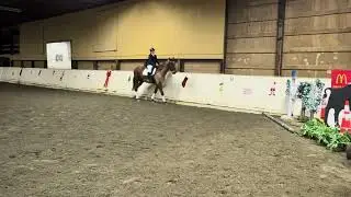 Christine Homfeld/Caiden/L1 - WE- Dressage Yuletide Working Equitation