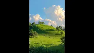Безмятежный город