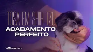 Tosa em Shih Tzu - Acabamento Perfeito
