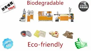 Automatic PLA degradable lunch box production line,Ecofriendly biodegradable food container machine