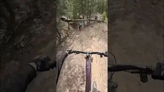 Shredding the New Norco Range VLT #bicycle #vlt #ebike