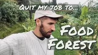 Quit my Job to Food Forest in NZ