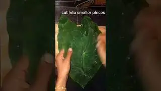 Easy and Healthy Taro leaves Curry 😋 Recipe @Flavours of Nepal🙏🏿&hearts;️