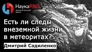 Есть ли следы внеземной жизни в метеоритах? | Метеоритика &ndash; Дмитрий Садиленко | Научпоп