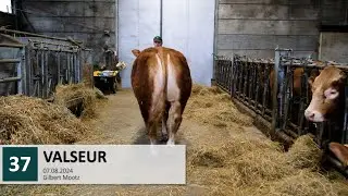 37 VALSEUR
